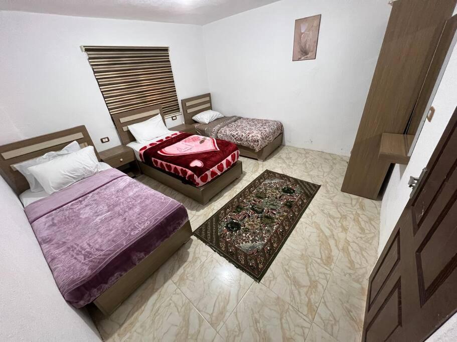 Z3 Apartment Wadi Musa Eksteriør bilde